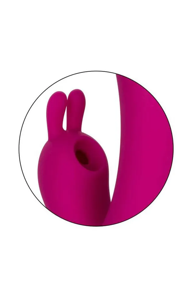 Cal Exotics Vibrators Cal Exotics Foreplay Frenzy Bunny Kisser Vibrator Purple