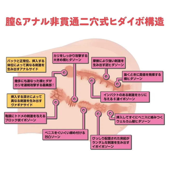 Male Sex Toys Wild One Wild One Real Body 3D Bone System D Cup Yura Anagawa Doll 9kg Beige