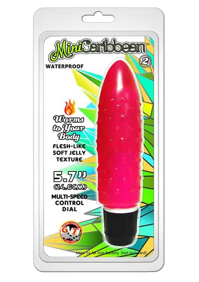 Mini Caribbean Number 2 Vibrator MiniCaribbean Female Sex Toys
