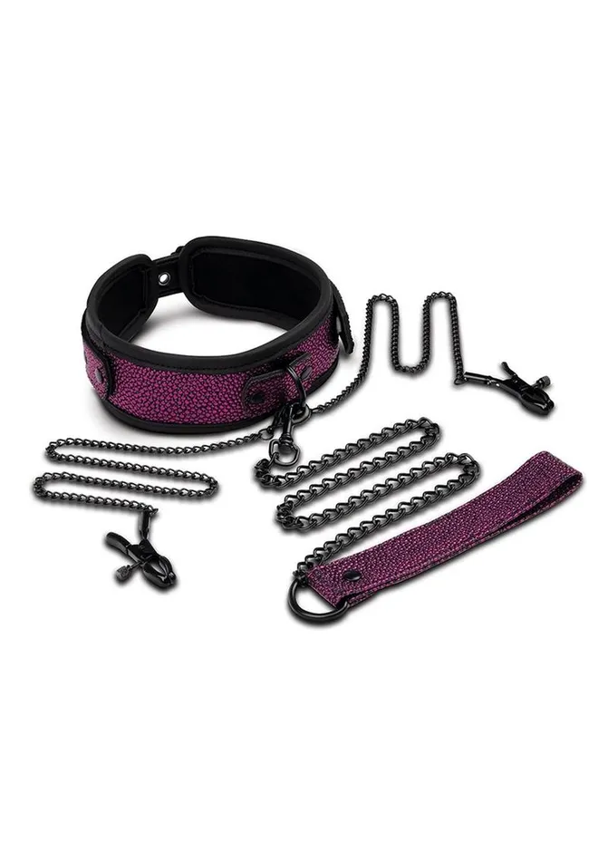 WhipSmart Dragons Lair Collar Leash and Nipple Clips Whipsmart Vibrators
