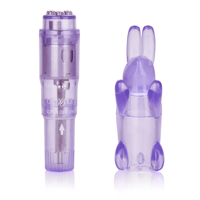 CalExotics Vibrators Shanes World Pocket Party Purple CalExotics Vibrators Shanes World Pocket Party Purple