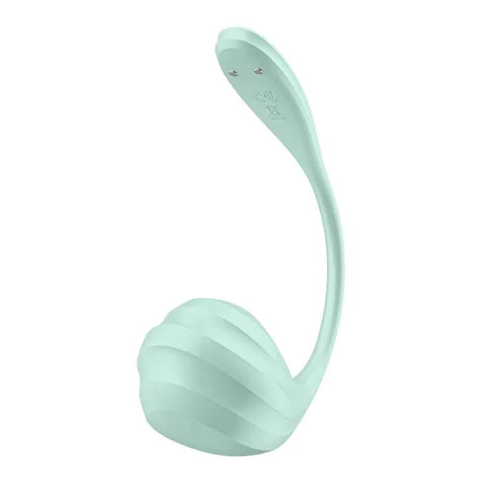 Satisfyer Smooth Petal Connect App Mint Vibrators