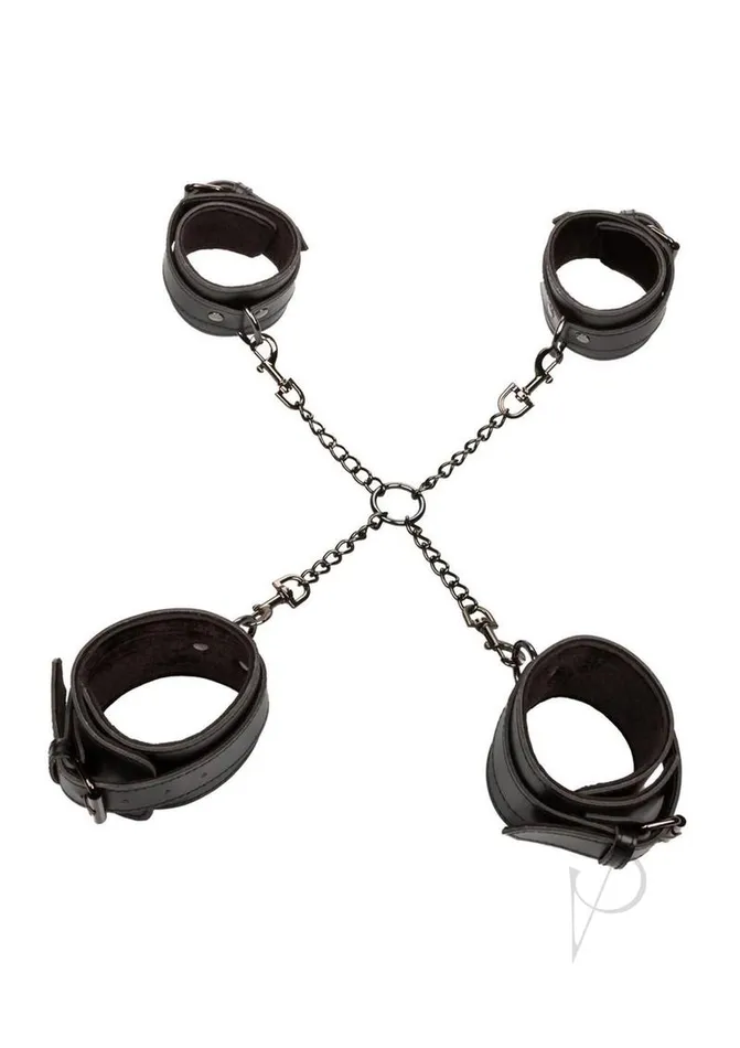 Euphoria Anal Euphoria Collection Hog Tie Black