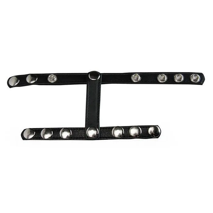 Female Sex Toys Snapon Cock and Ball Harness Strict