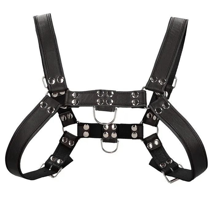 Anal Shots Toys Ouch Chest Bulldog Harness Black Large to Xlarge Anal Shots Toys Ouch Chest Bulldog Harness Black Large to Xlarge