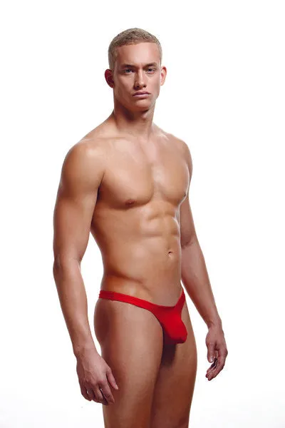 Baci Vibrators Envy Lowrise Thong E034 SM Red