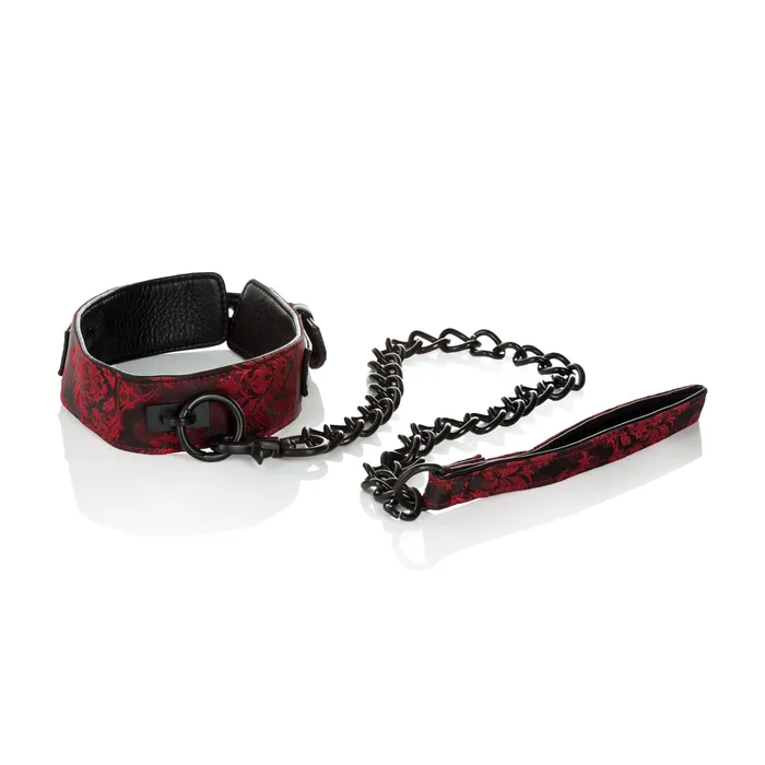 CalExotics Scandal Collar With Leash Male Sex Toys