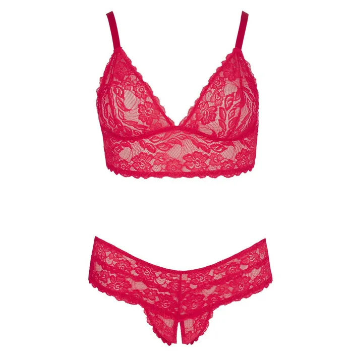Cottelli Collection Plus Size Cottelli Plus Size Red Lace Bra And Briefs Cottelli Collection Plus Size Cottelli Plus Size Red Lace Bra And Briefs