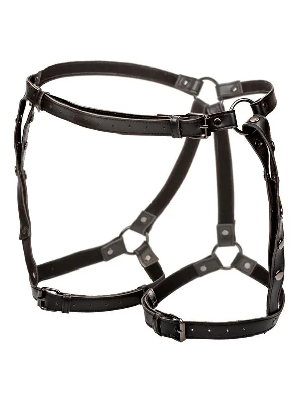 Euphoria Collection Plus Size Riding Thigh Harness CalExotics Plus Size