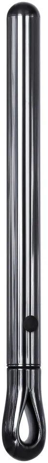 Evolved Novelties Vibrators Pen Pal