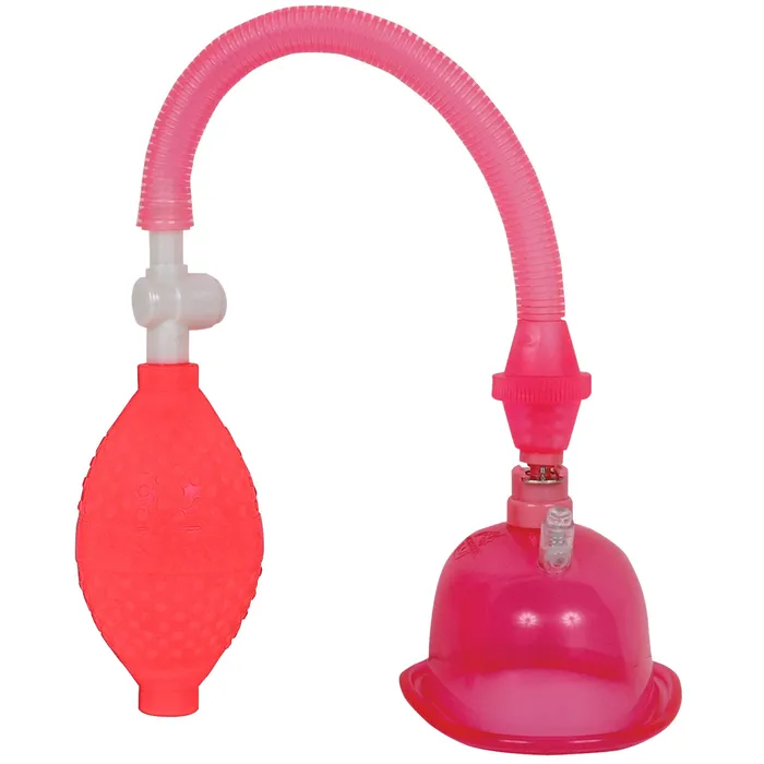 Female Sex Toys Doc Johnson Pussy Pump in a Bag Pink