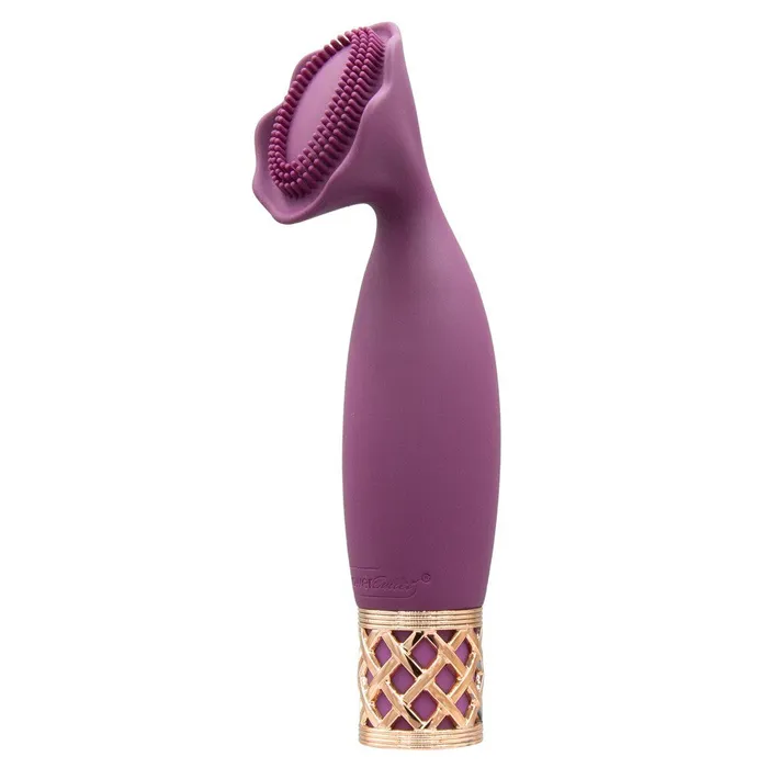 Female Sex Toys Pillow Talk Secrets Passion Mini Massager BMS Enterprises