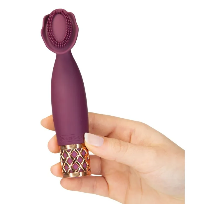 Female Sex Toys Pillow Talk Secrets Passion Mini Massager BMS Enterprises Female Sex Toys Pillow Talk Secrets Passion Mini Massager BMS Enterprises