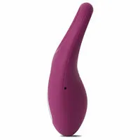 Svakom Vibrators Winni